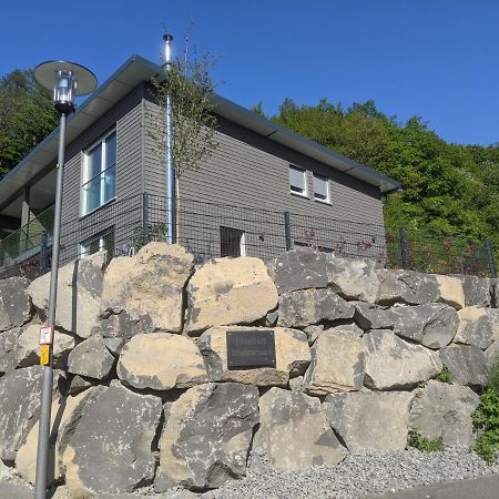 Ferienhaus Schieferterrasse - Waldsee Rieden - 外观 照片